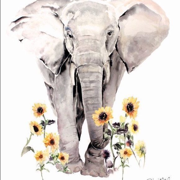 Meet your Posher, Zuzanna - Picture 1 of 1